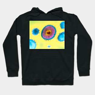 Single Staphylococcus aureus bacterium (B234/0086) Hoodie